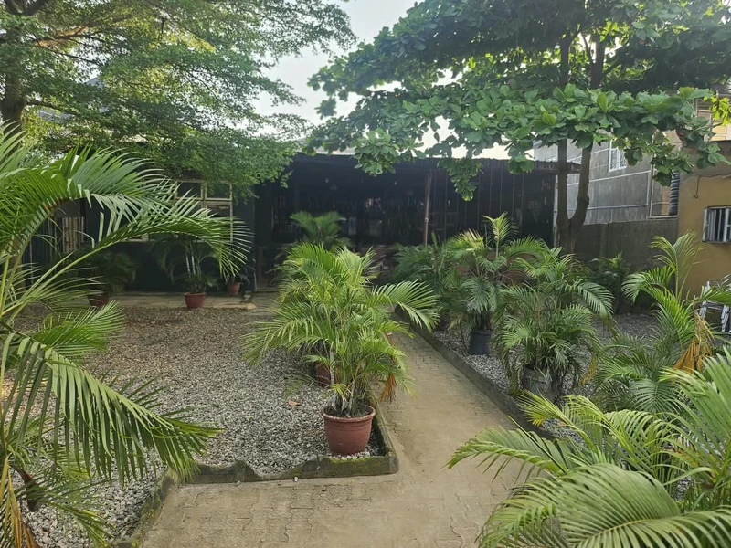 The green garden courtyard at Kabana